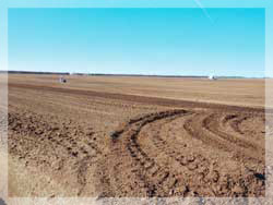Veld