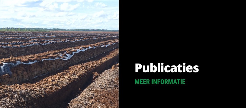 Publicaties
